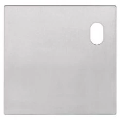 Lockwood 20000NAR External Flat Plate With Cylinder Only - Right Hand - Satin Stainless Steel