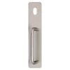 Lockwood 21625NA-P2 External Plate With Cylinder Hole And Pull Handle - Satin Stainless Steel 1 Lockwood 21625NA-P2 External Plate With Cylinder Hole And Pull Handle - Satin Stainless Steel -Security Door Locks lw21625na p2 ss 1