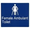 Sabre Female Ambulant Braille Sign