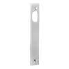 Sabre Narrow Plate Internal Cylinder Only Plate - Satin Stainless Steel
