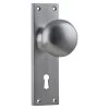 Tradco 0916 Victorian Knob On Skeleton Key Long Backplate - Satin Chrome