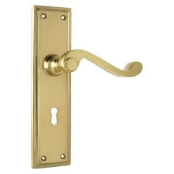 Tradco 1005 Milton Lever On Skeleton Key Long Backplate - Polished Brass