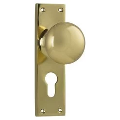 Tradco 1035E Victorian Knob On Euro Cylinder Hole Long Backplate - Polished Brass